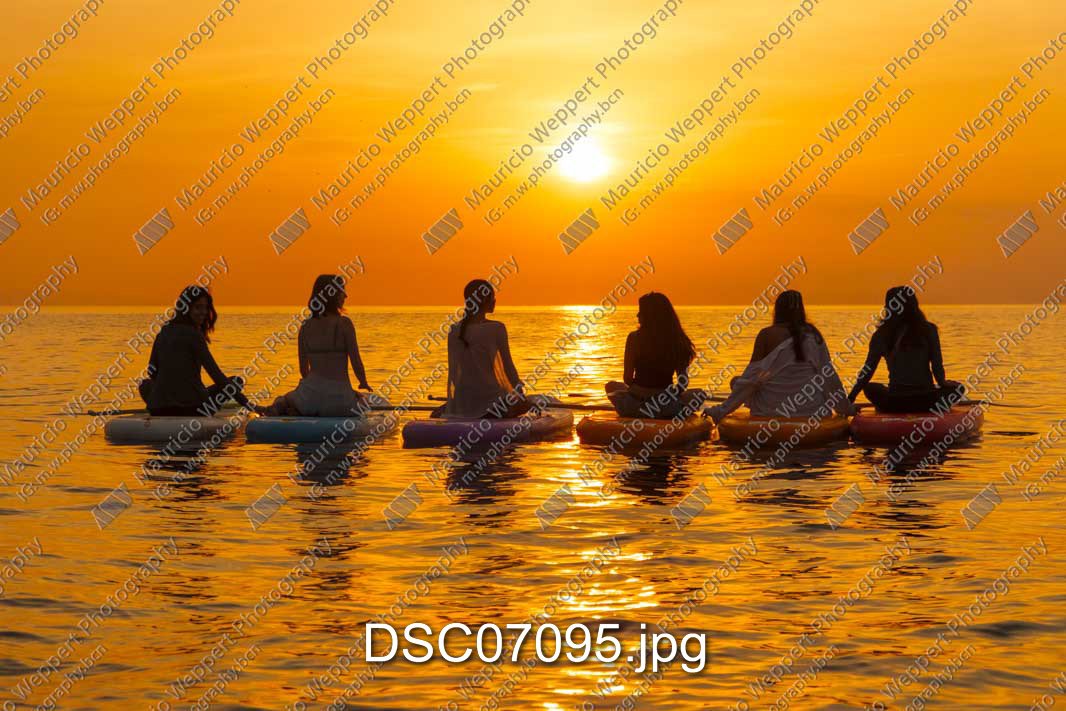 DSC07095.jpg