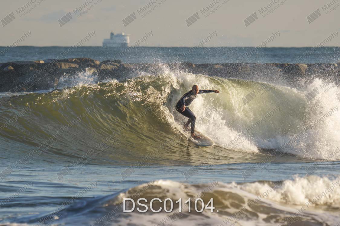 DSC01104.jpg