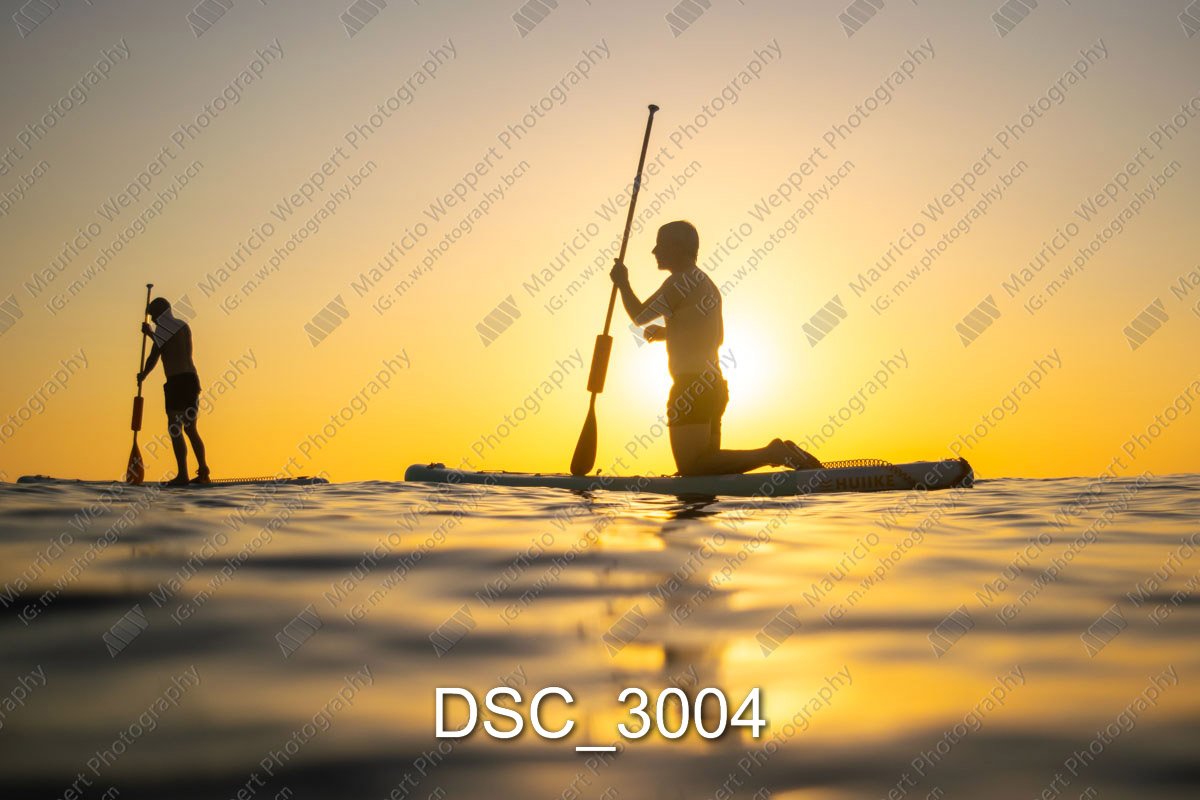DSC_3004.jpg