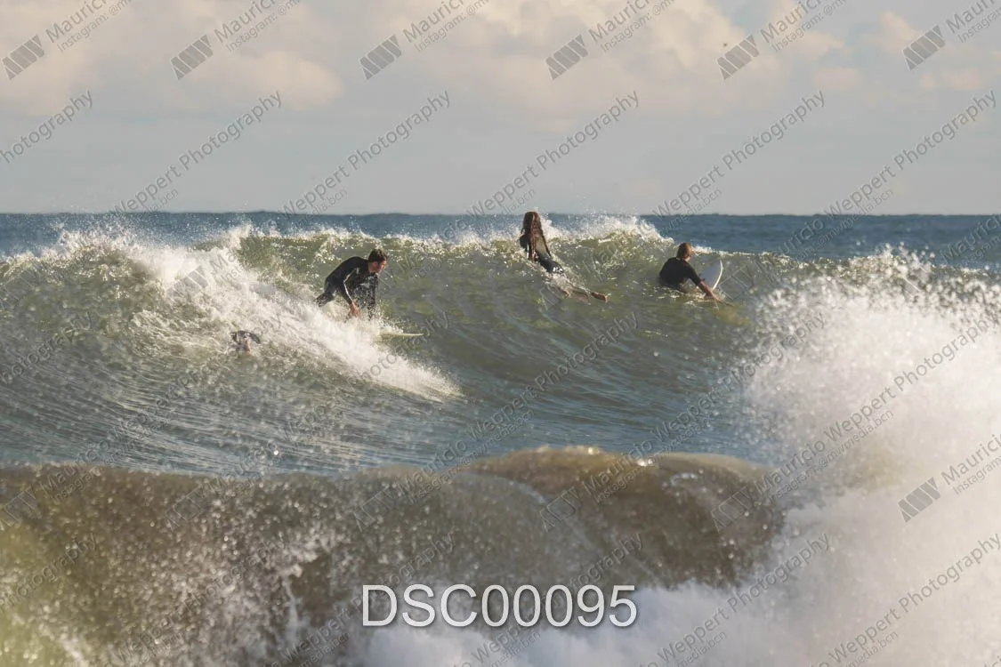 DSC00095.jpg