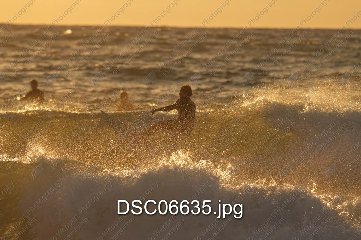 DSC06635.jpg