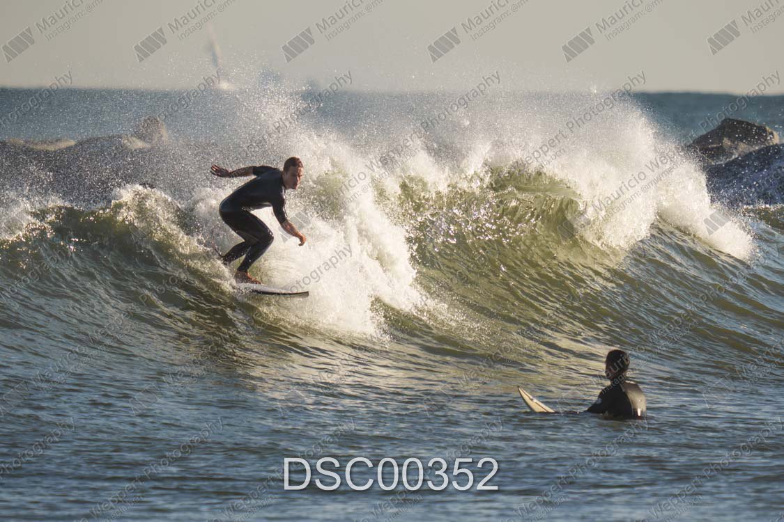 DSC00352.jpg