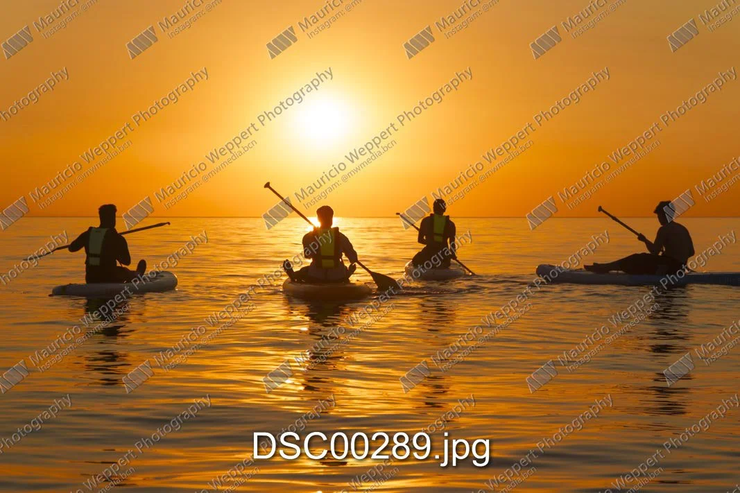 DSC00289.jpg