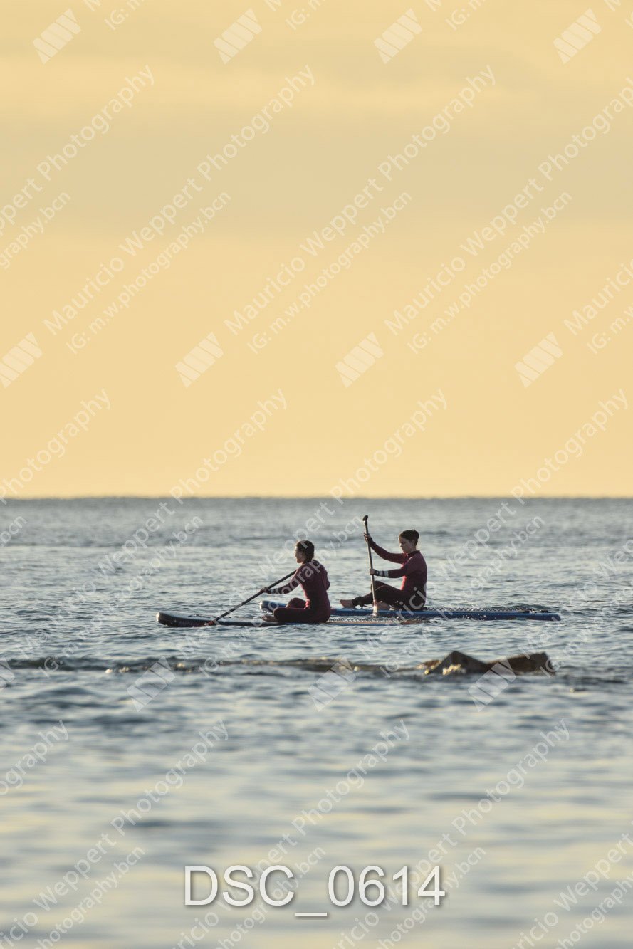 DSC_0614.jpg