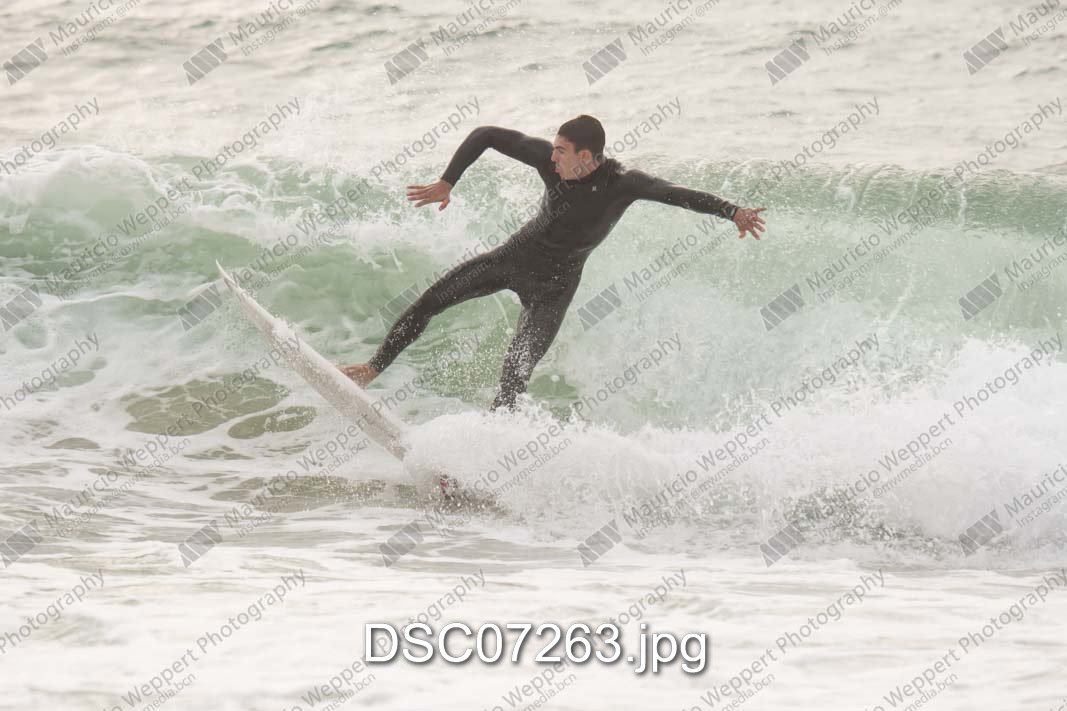 DSC07263.jpg