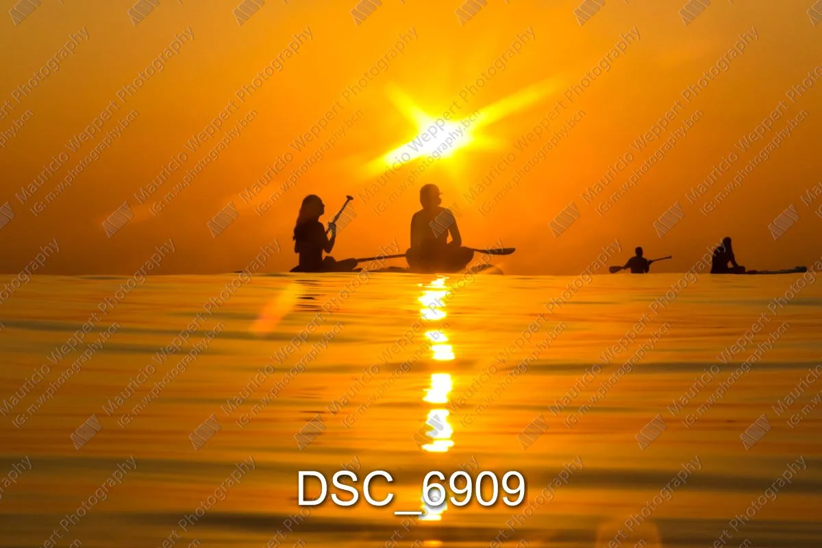 DSC_6909.jpg