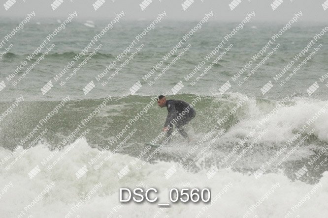 DSC_0560.jpg
