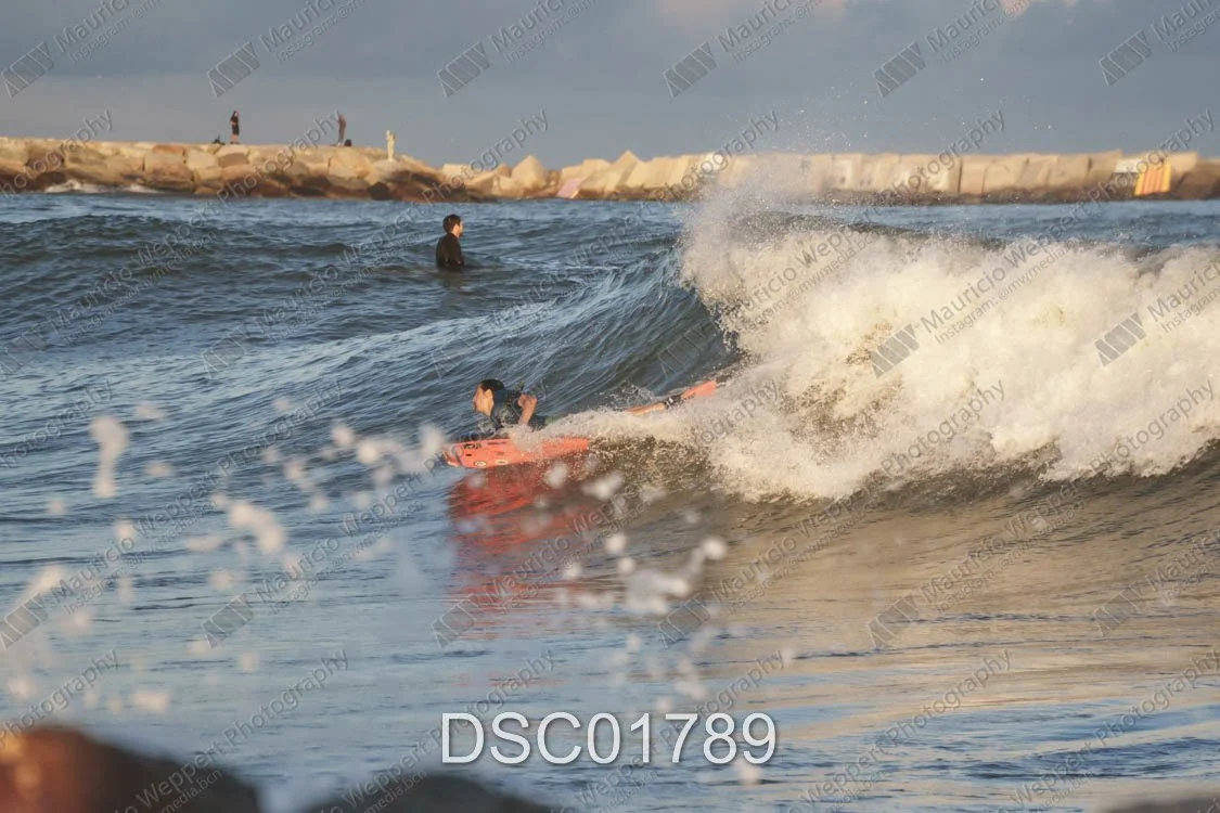 DSC01789.jpg