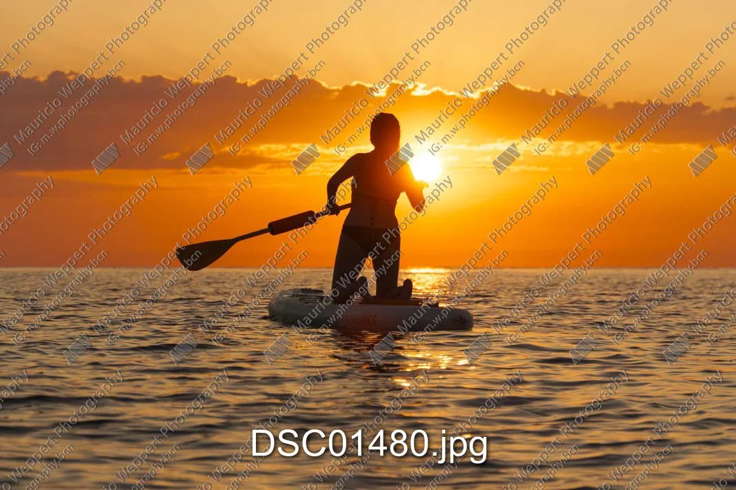 DSC01480.jpg