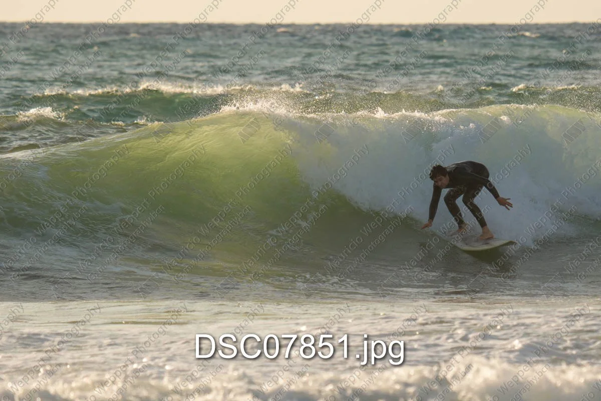 DSC07851.jpg