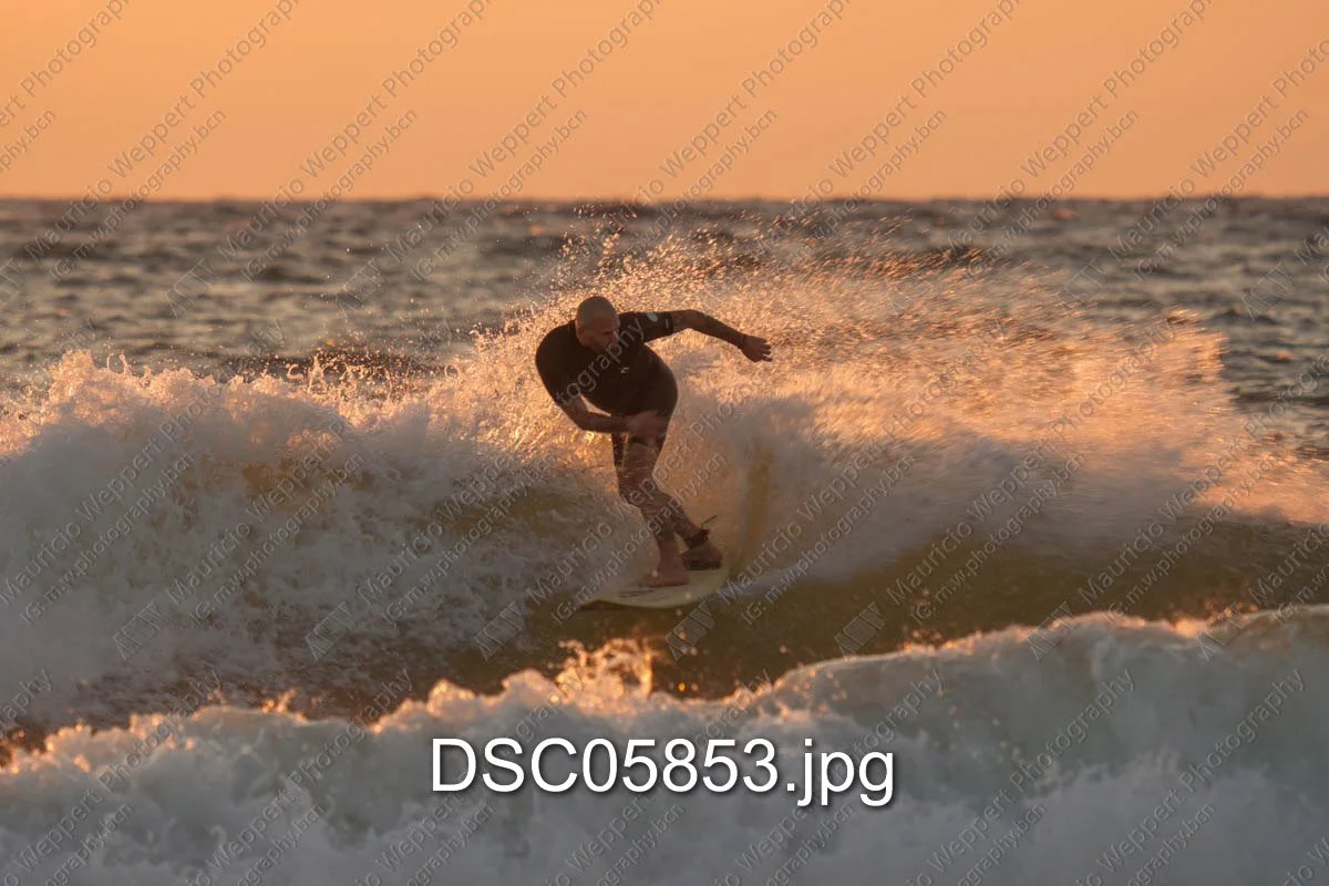 DSC05853.jpg