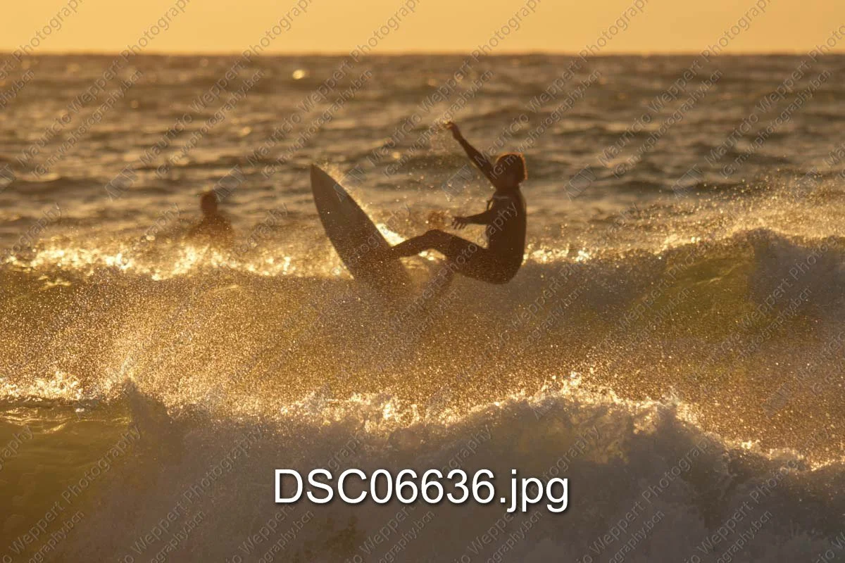 DSC06636.jpg