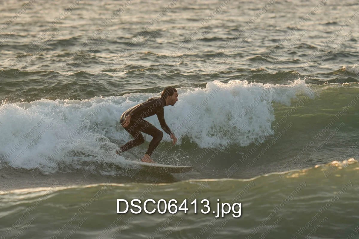 DSC06413.jpg