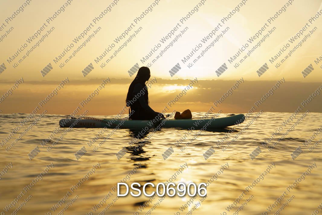 DSC06906.jpg