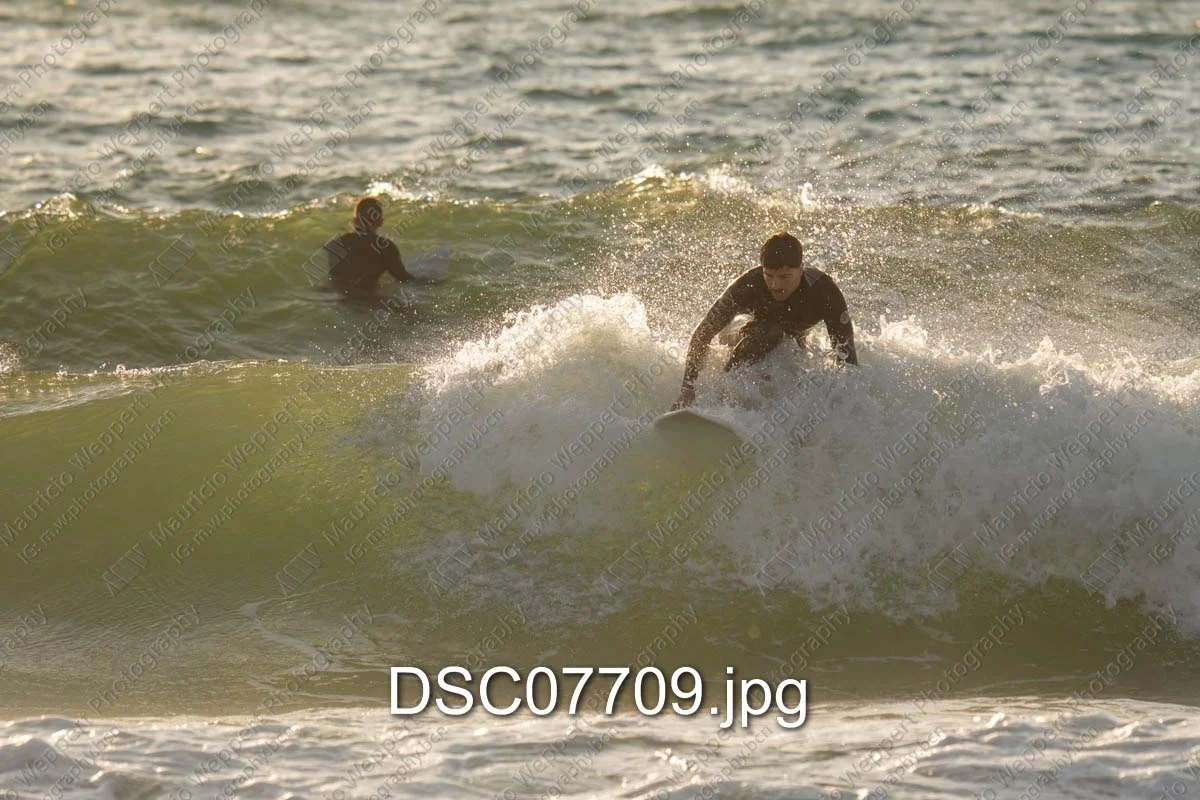 DSC07709.jpg