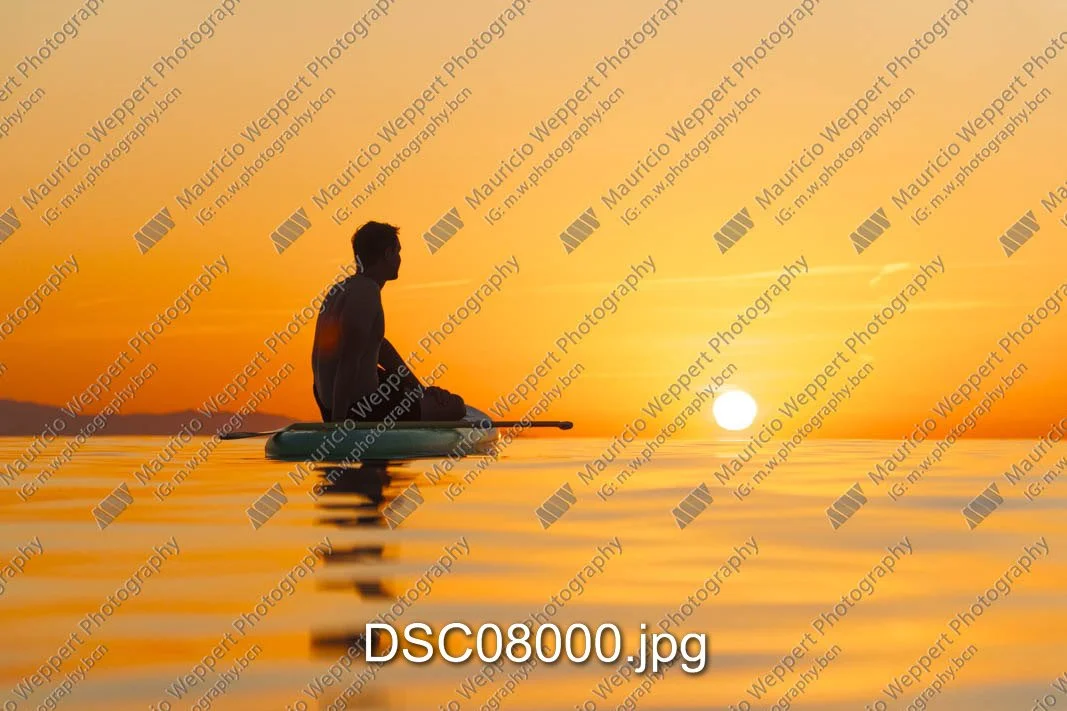 DSC08000.jpg