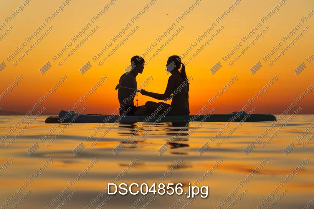 DSC04856.jpg