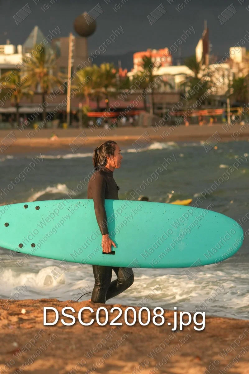 DSC02008.jpg