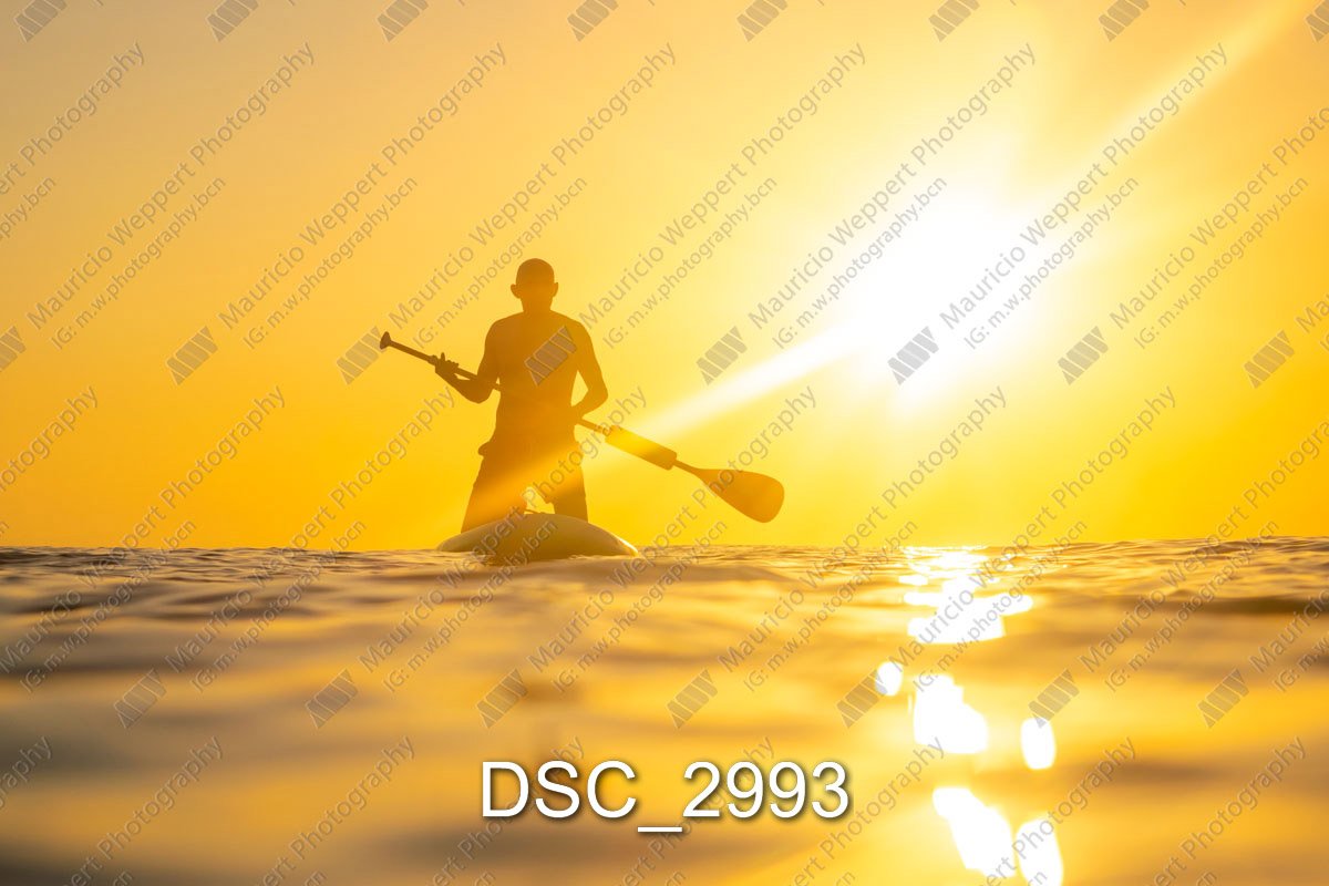DSC_2993.jpg