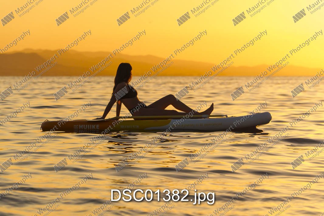 DSC01382.jpg