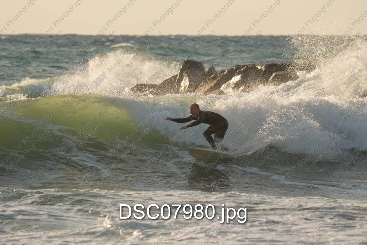 DSC07980.jpg