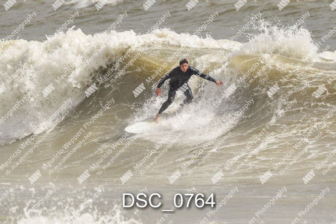 DSC_0764.jpg