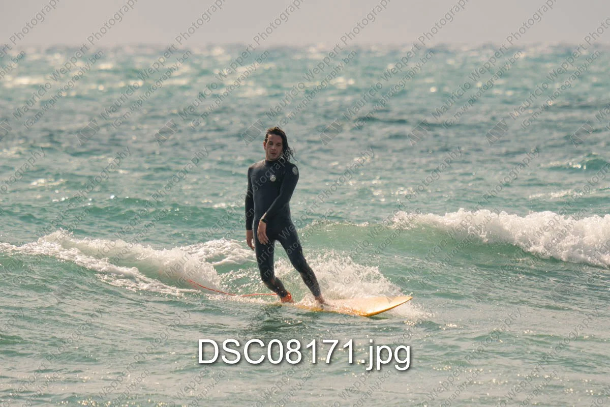 DSC08171.jpg