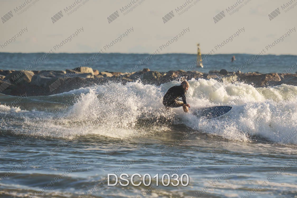 DSC01030.jpg