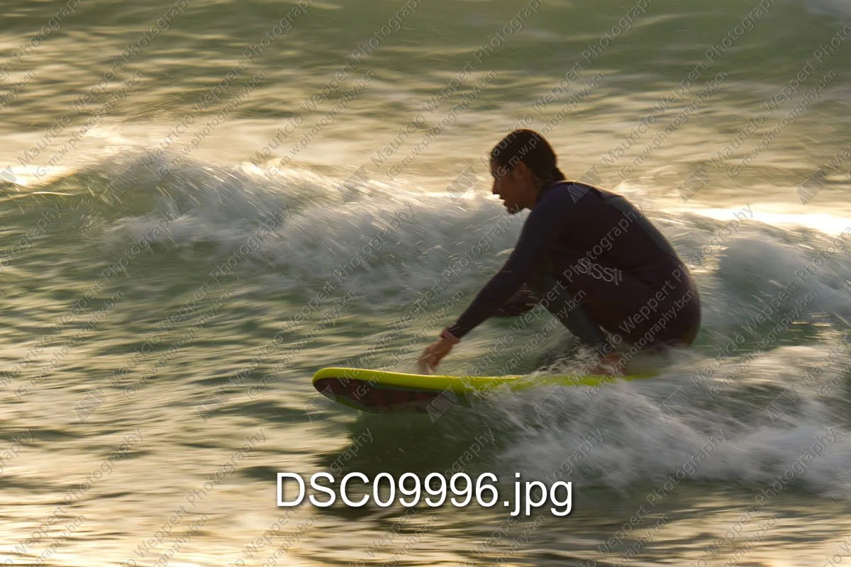 DSC09996.jpg