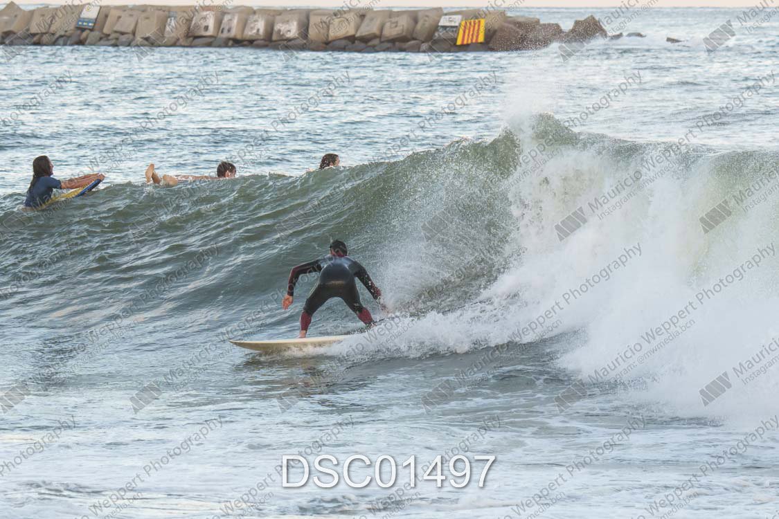 DSC01497.jpg