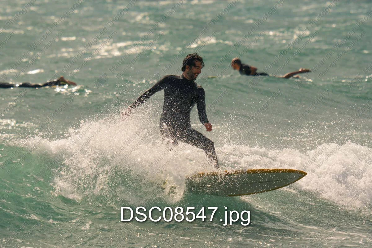 DSC08547.jpg