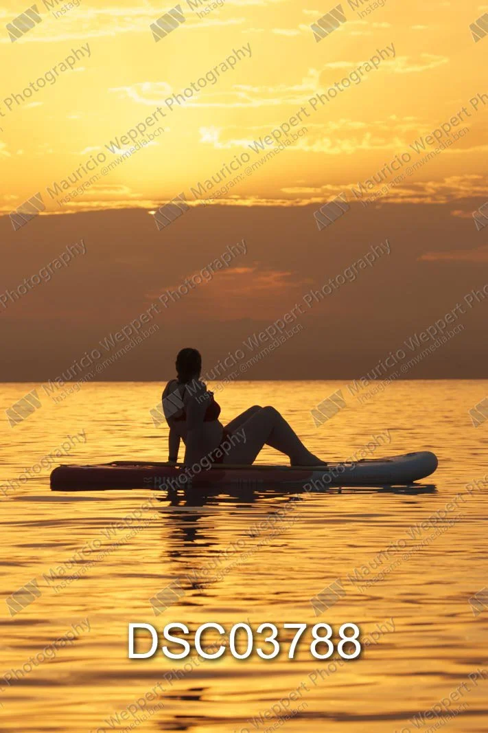 DSC03788.jpg