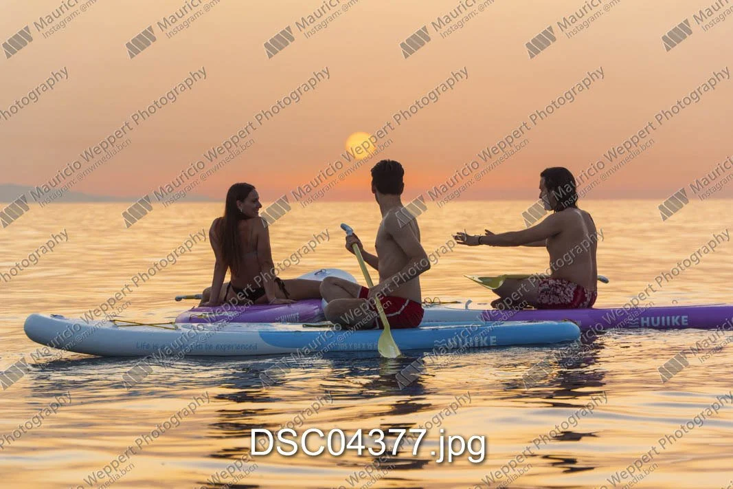 DSC04377.jpg