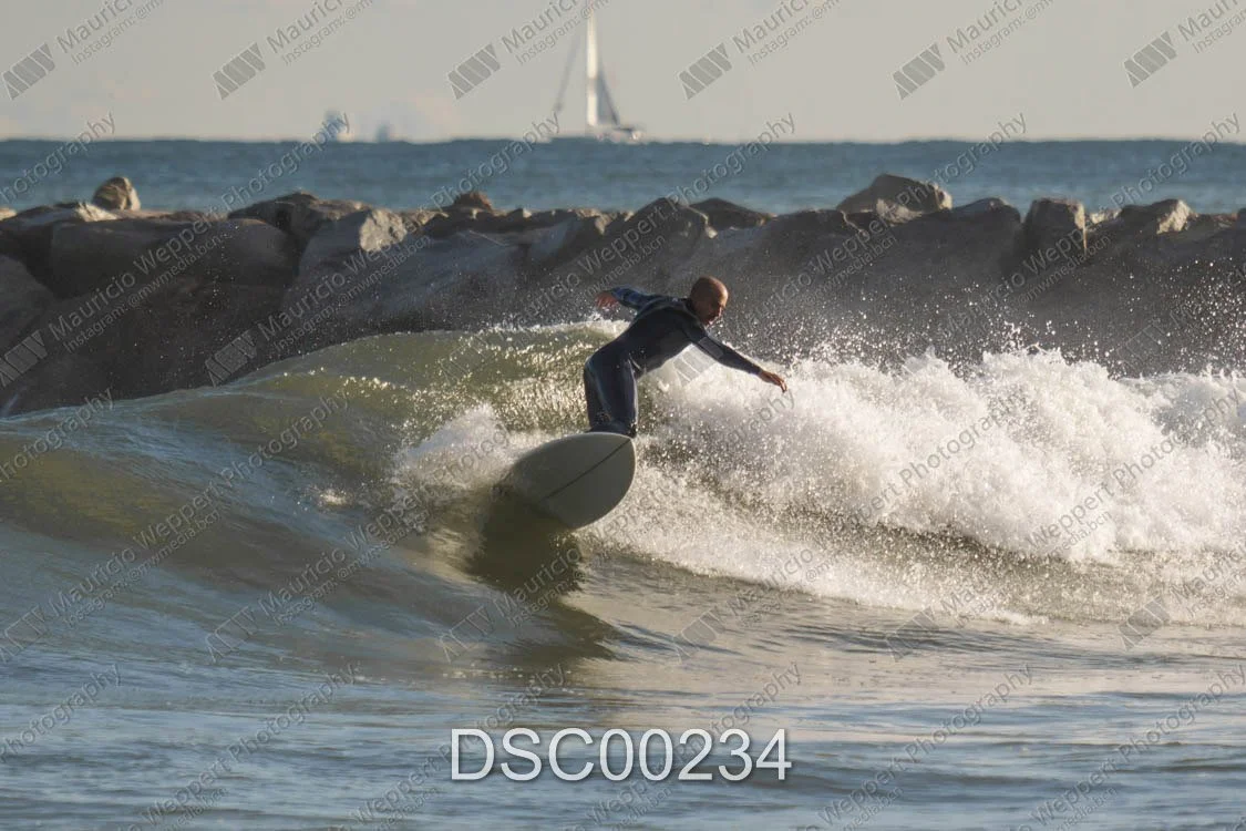 DSC00234.jpg
