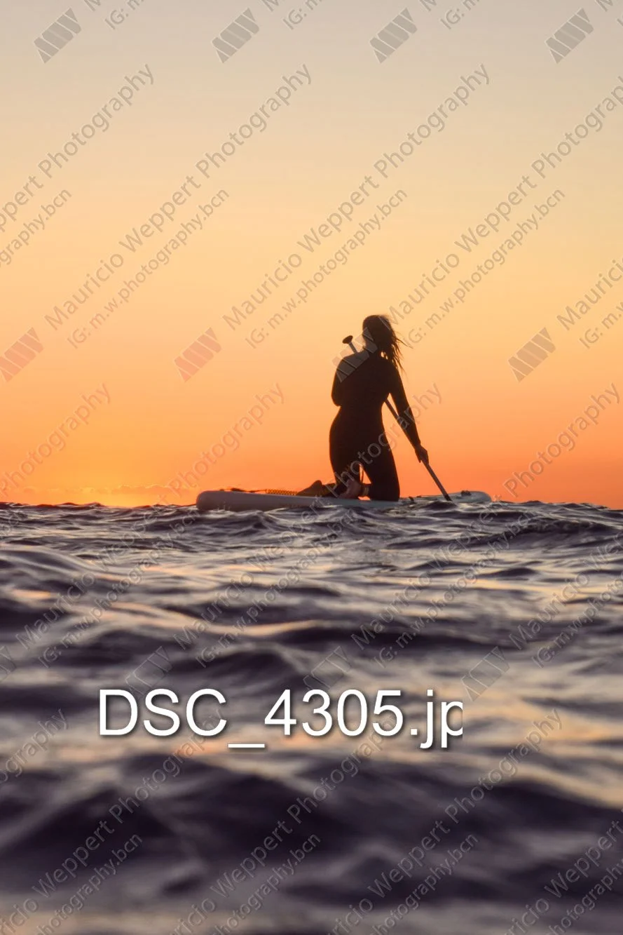 DSC_4305.jpg