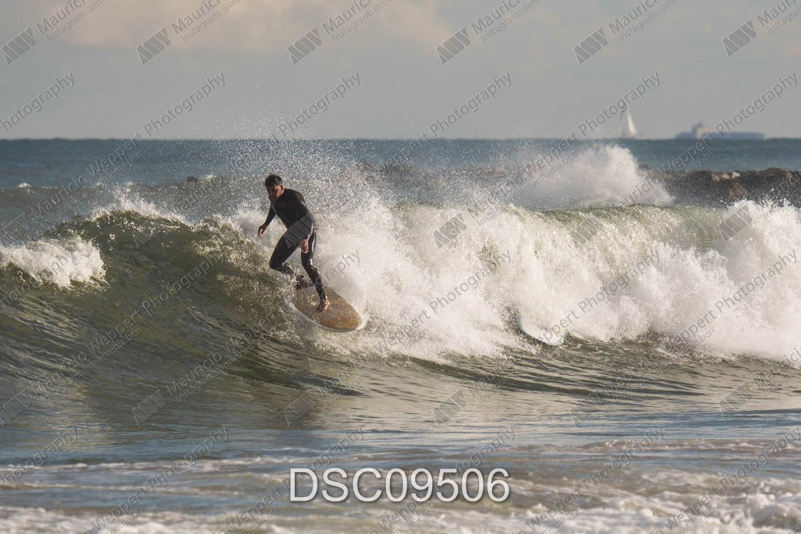 DSC09506.jpg