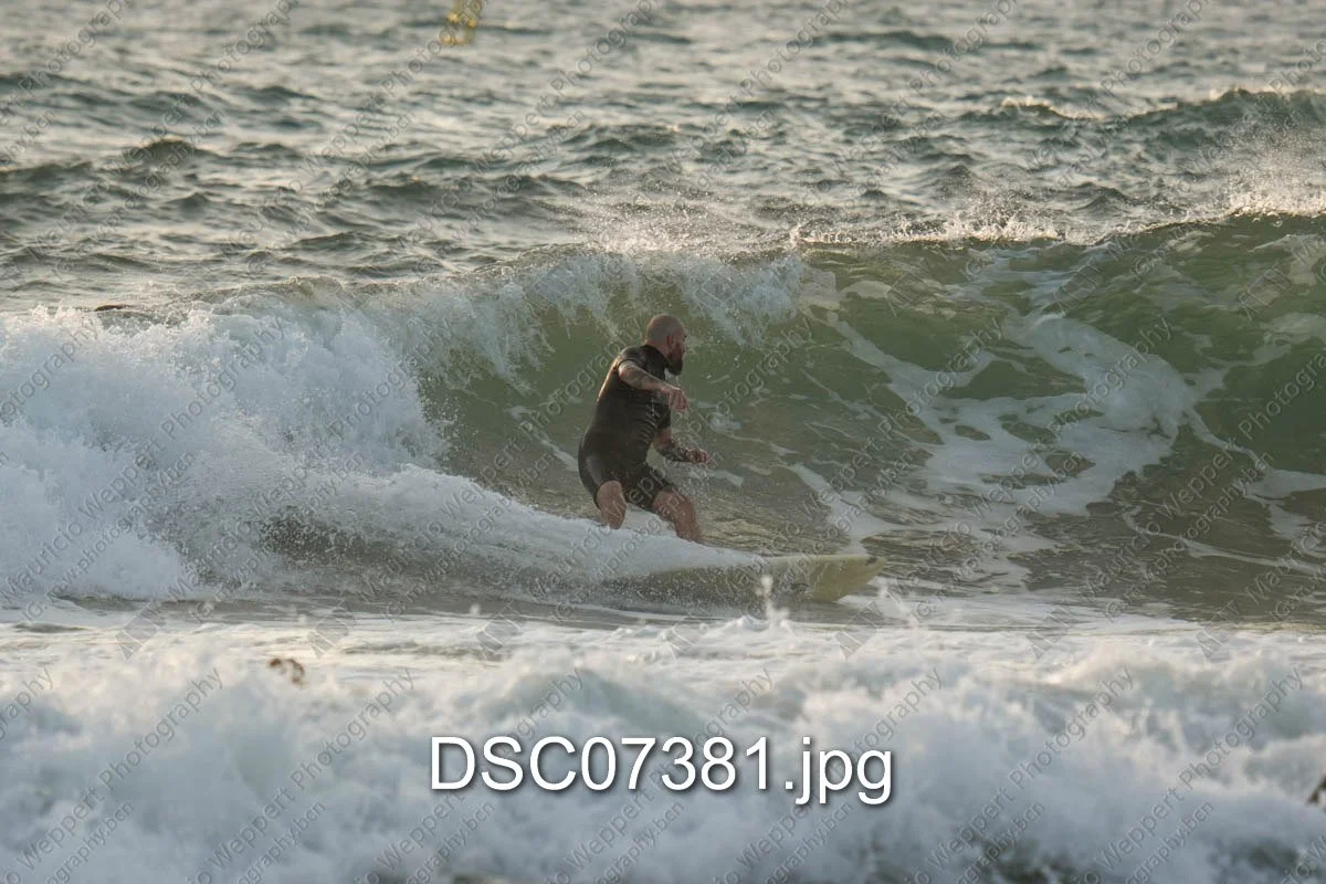 DSC07381.jpg