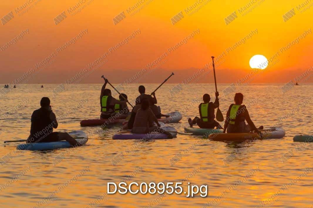 DSC08955.jpg