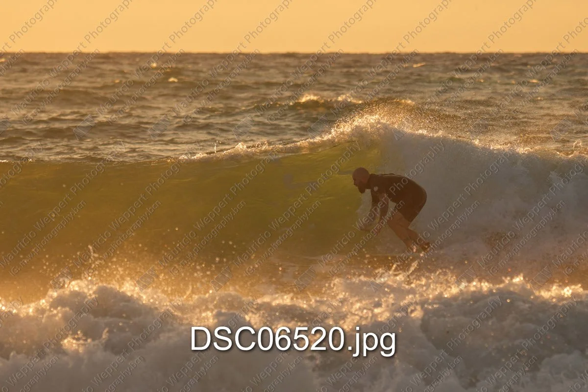 DSC06520.jpg