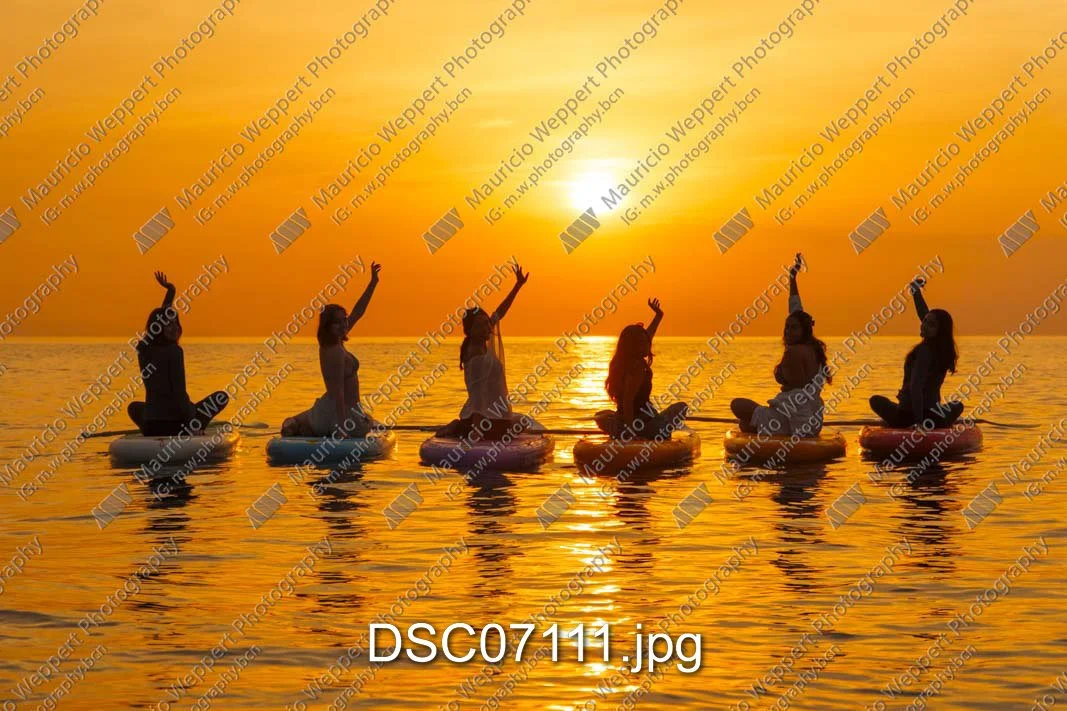 DSC07111.jpg