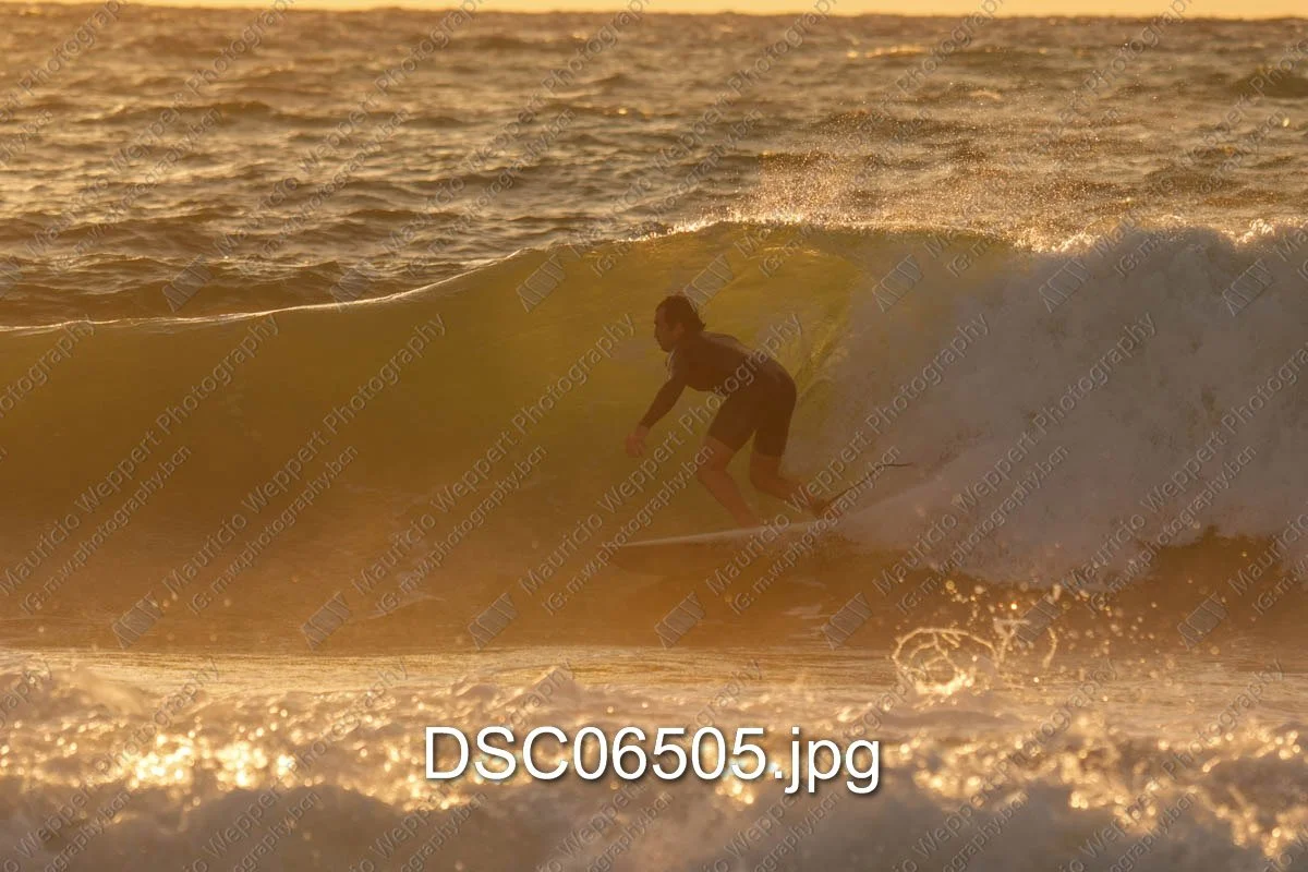 DSC06505.jpg