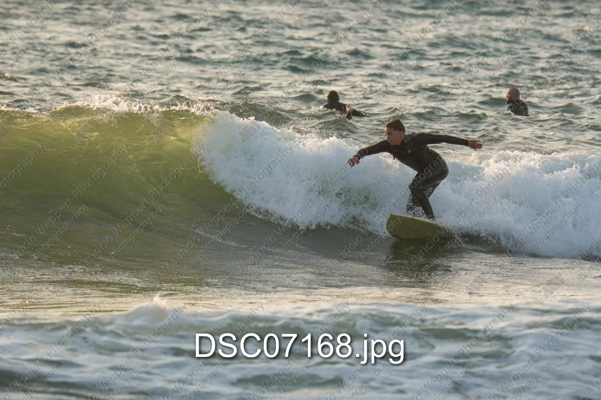 DSC07168.jpg
