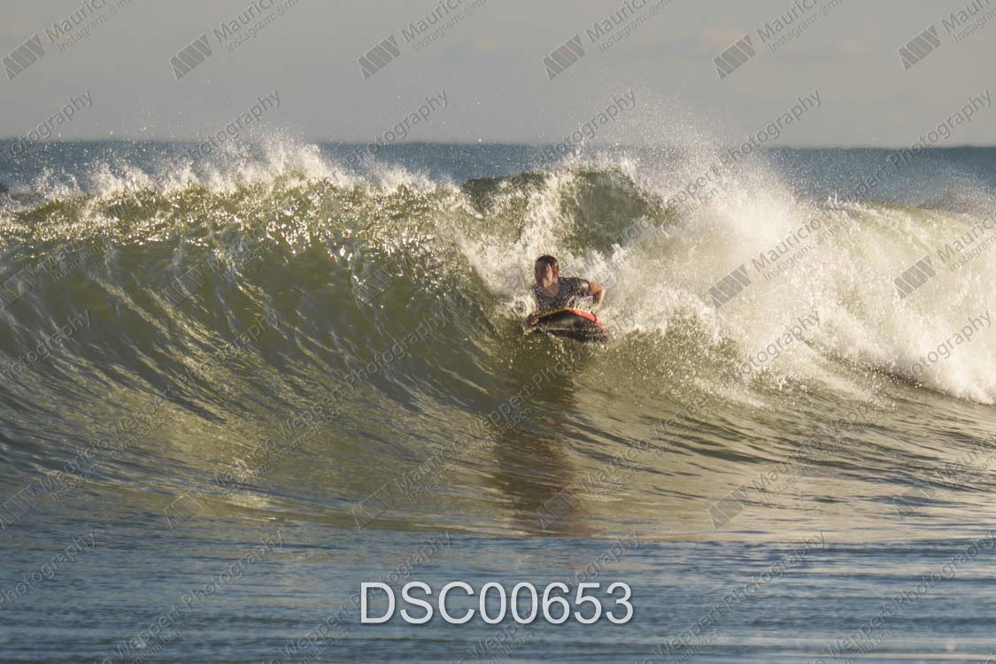 DSC00653.jpg