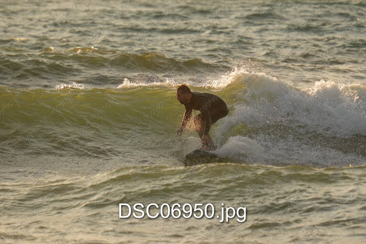DSC06950.jpg