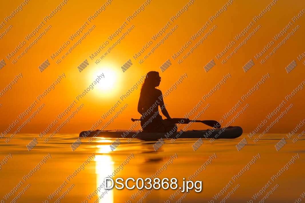 DSC03868.jpg