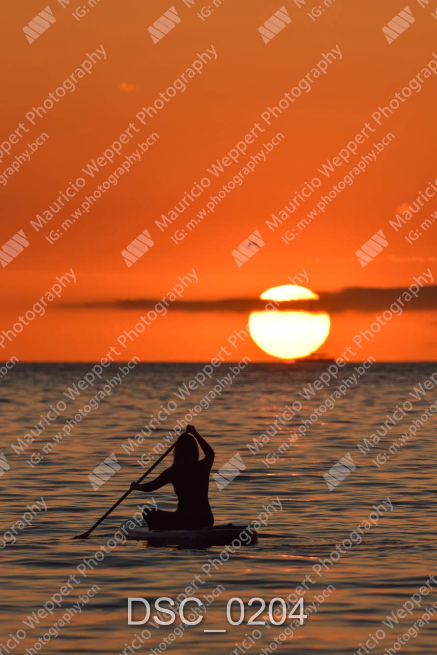 DSC_0204.jpg