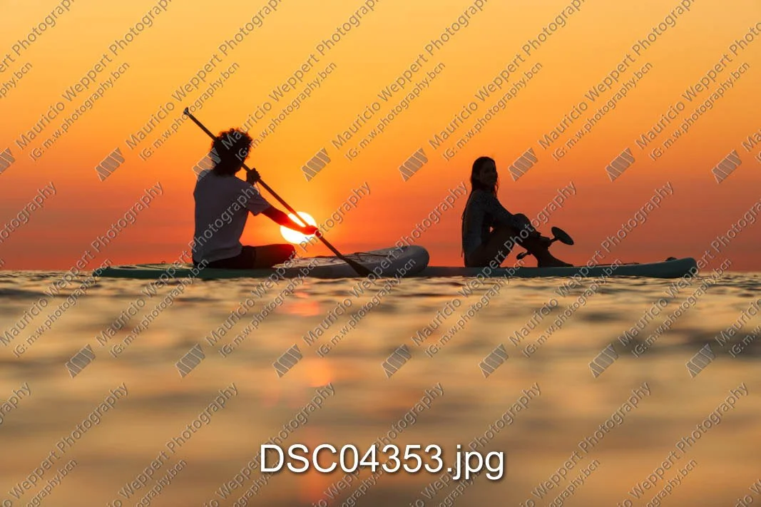 DSC04353.jpg