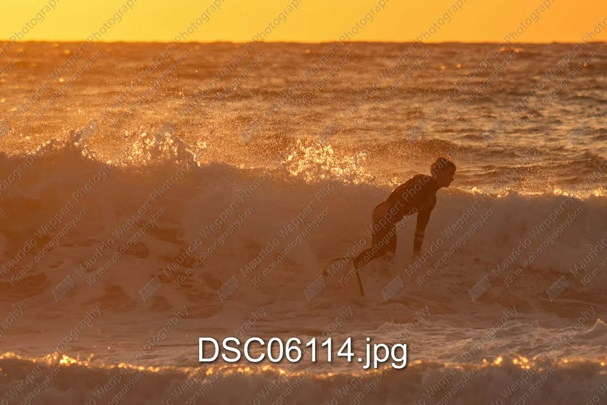 DSC06114.jpg