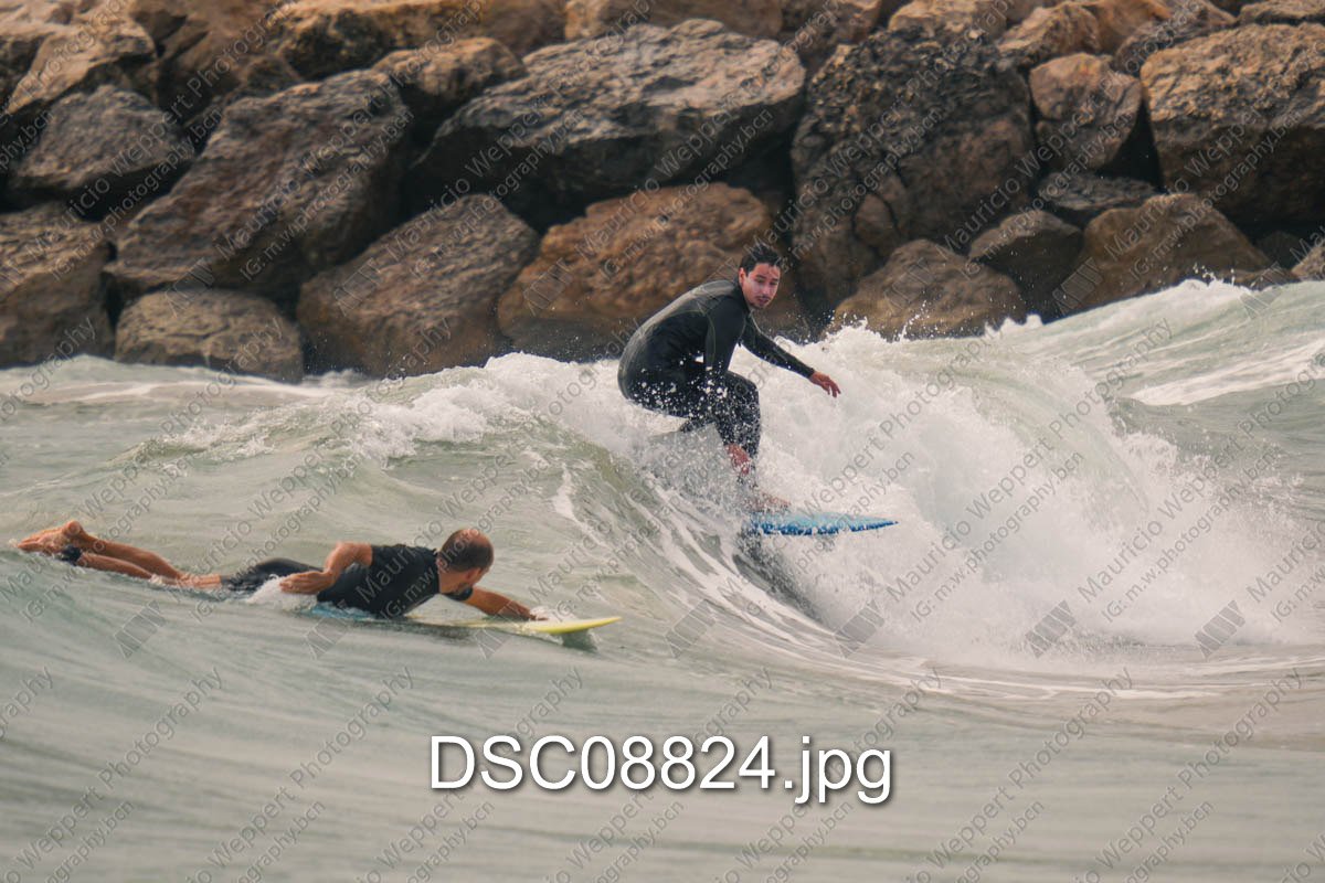 DSC08824.jpg