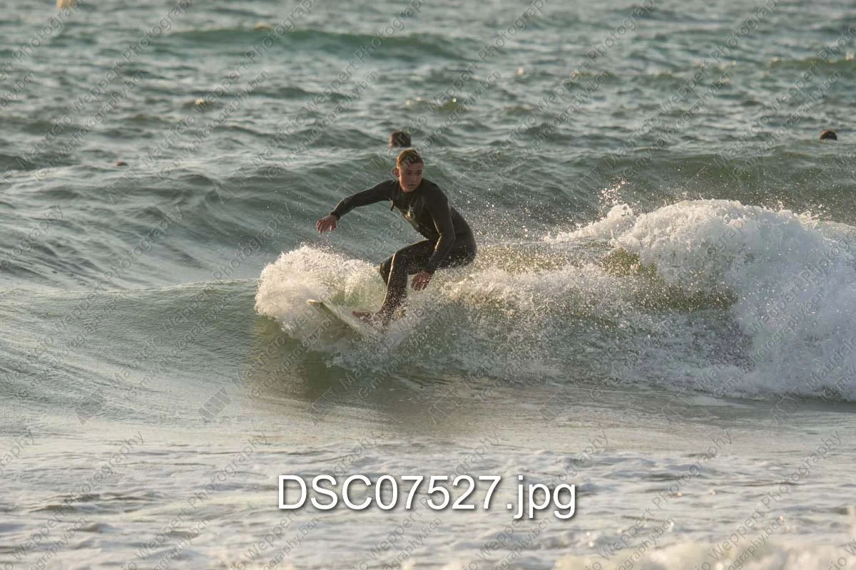 DSC07527.jpg